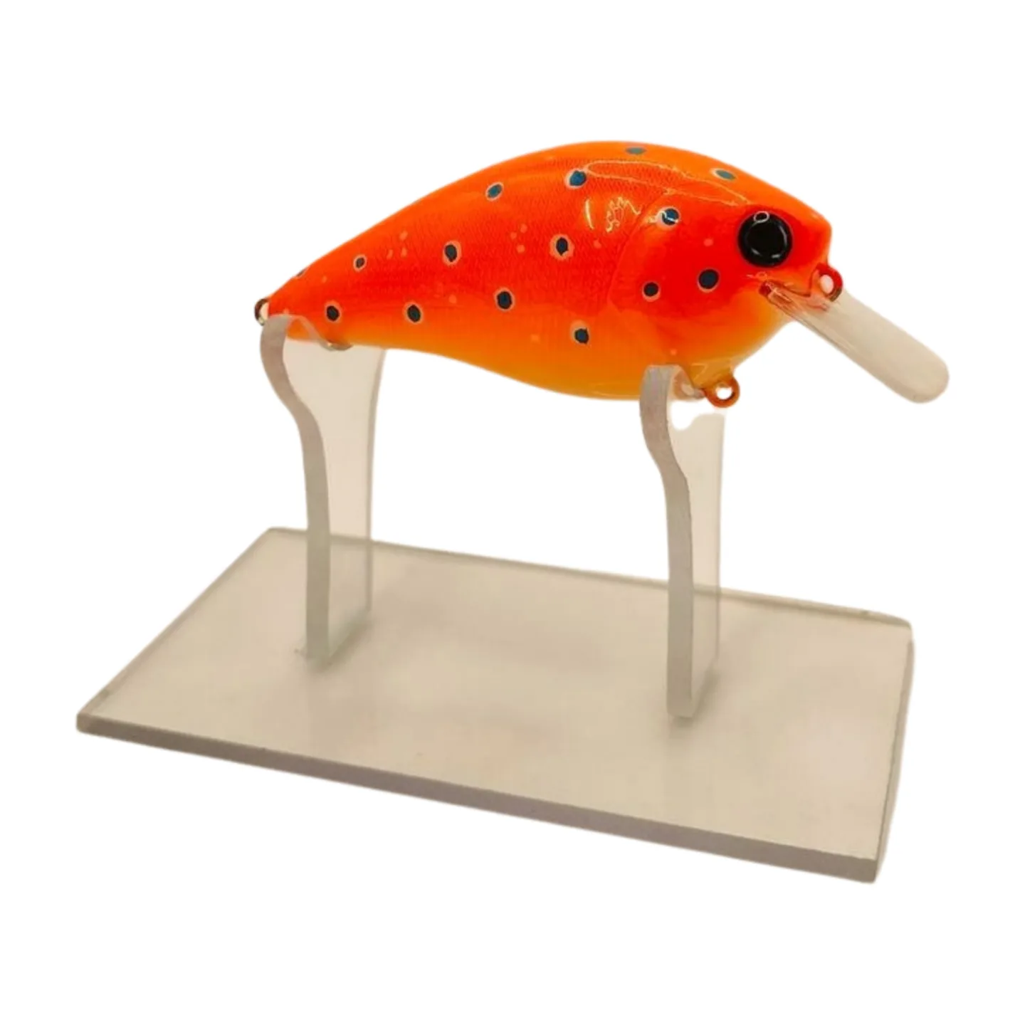 IMG20241005212456 png