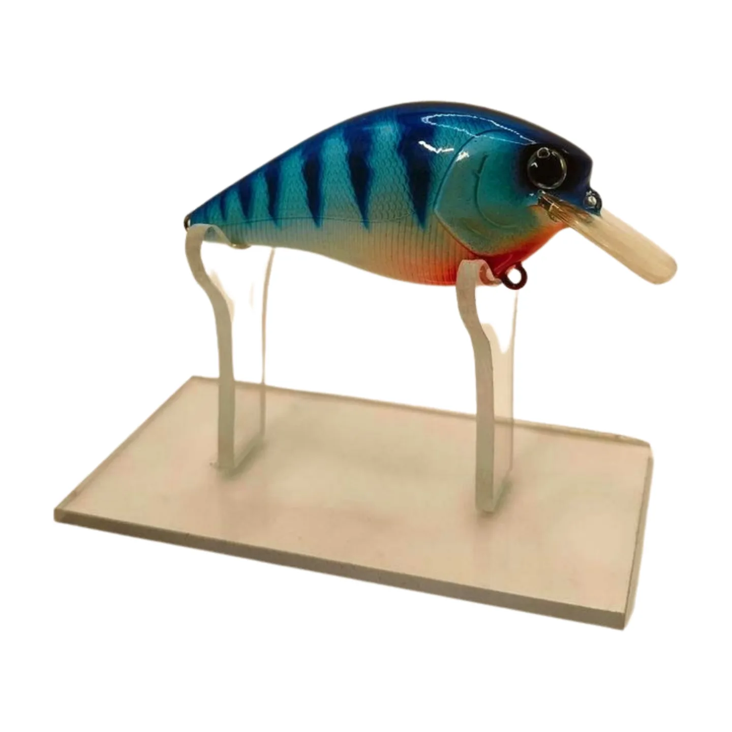 IMG20241005212512 png
