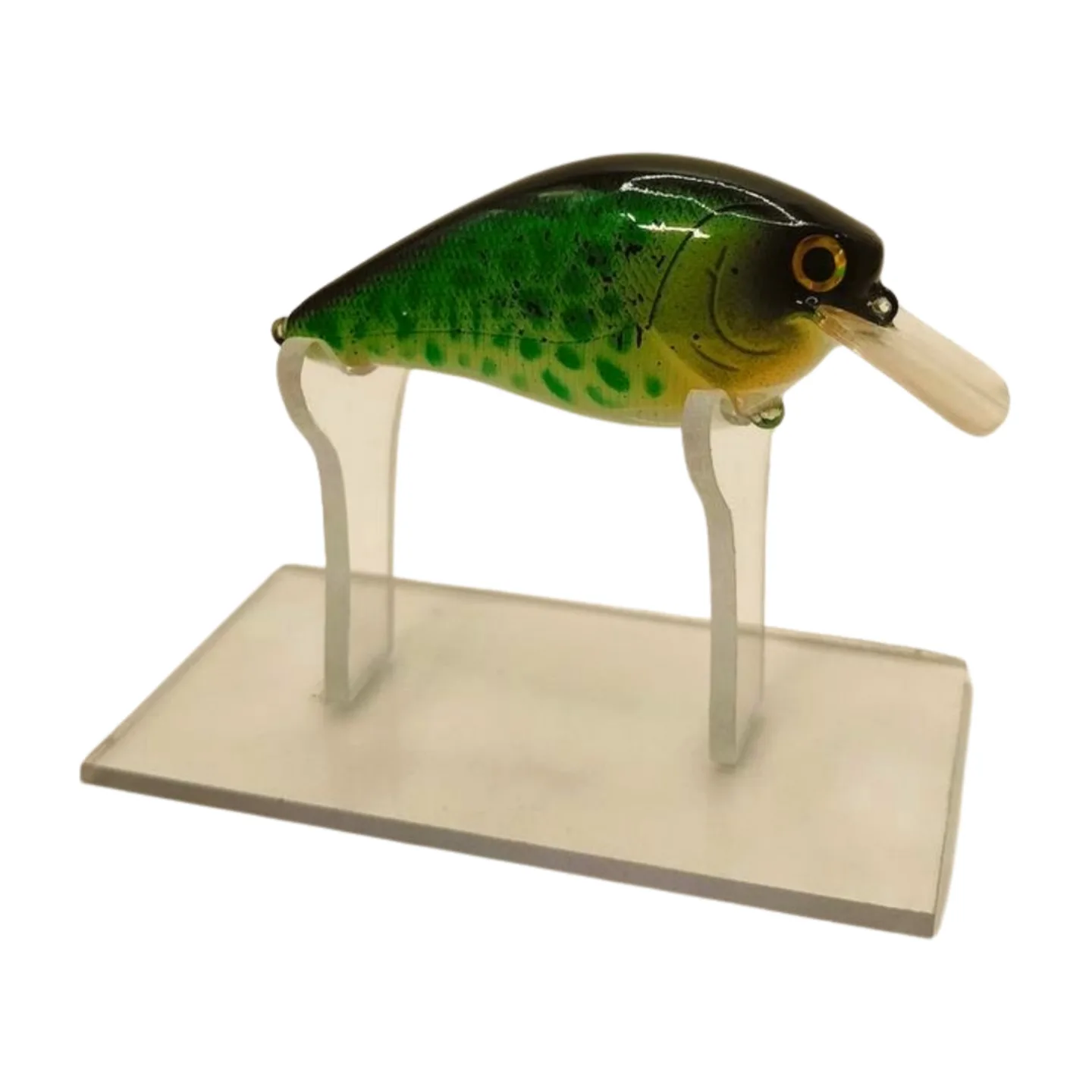 IMG20241005212519 png
