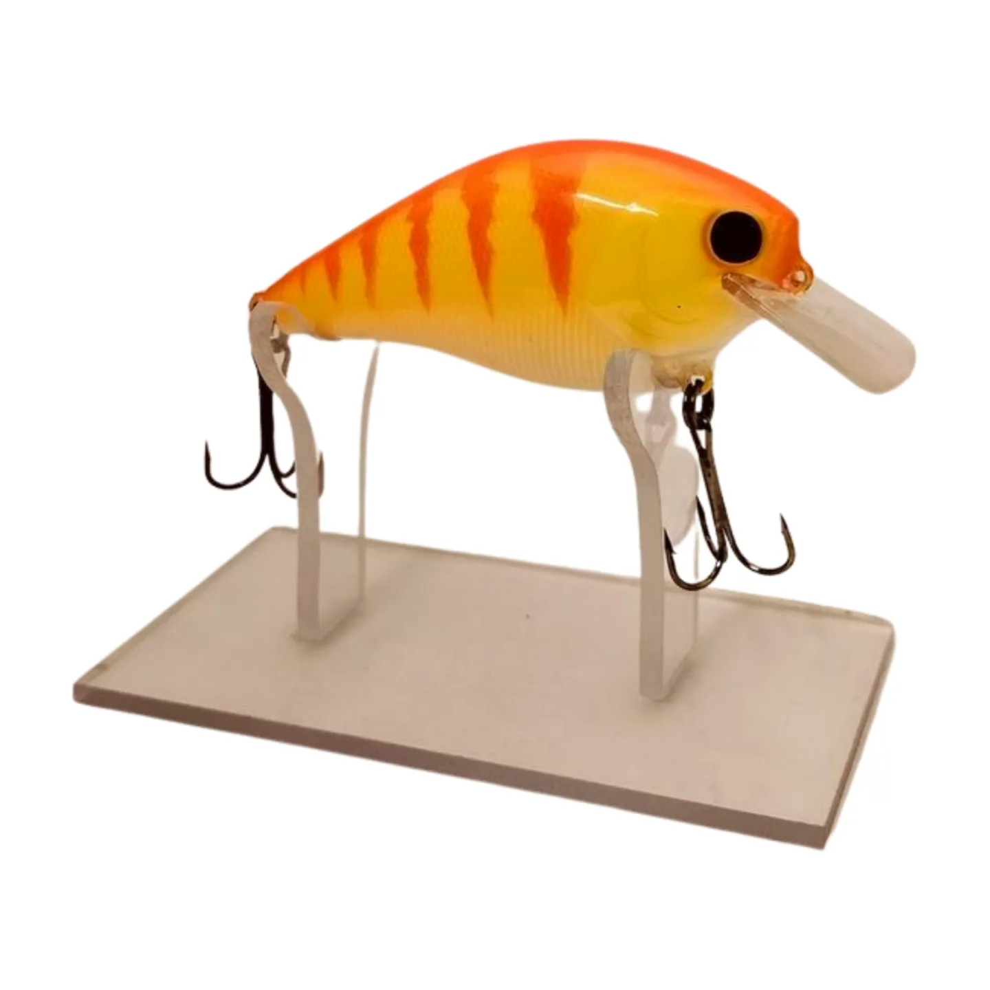 IMG20241020212933 png