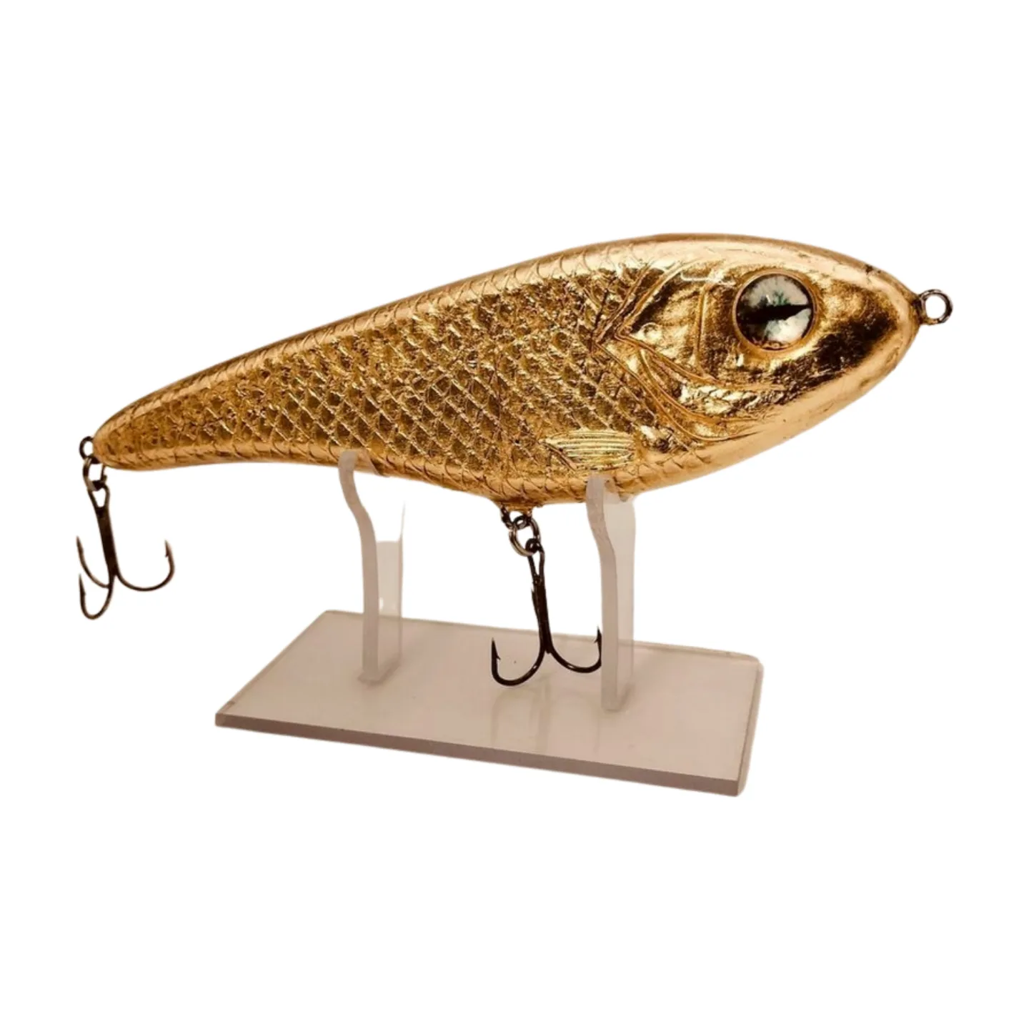 IMG20241020213102 png