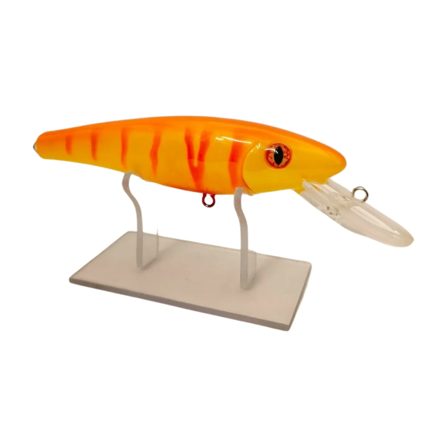 IMG20241125100959 png