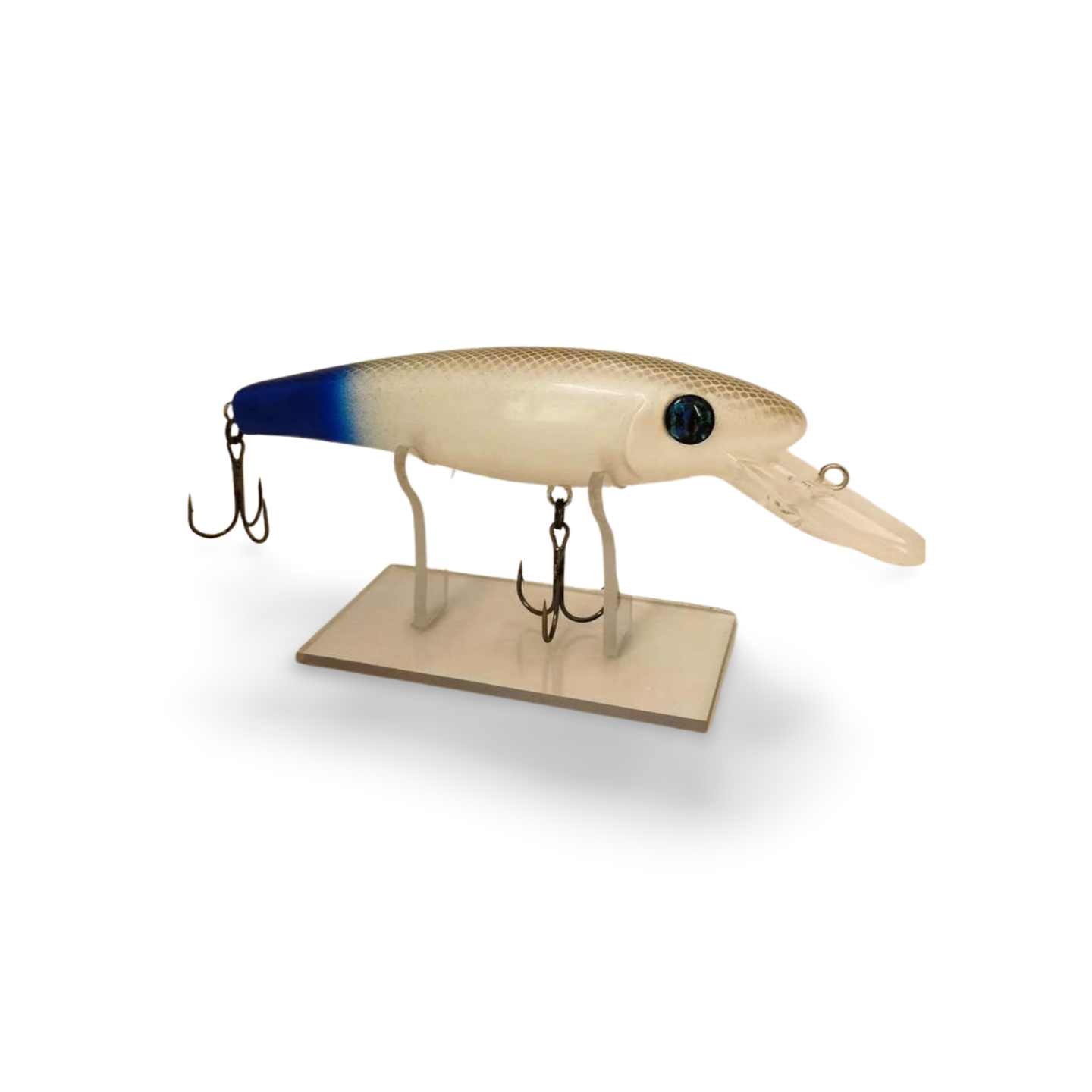 Lure Cave Customs b1 2