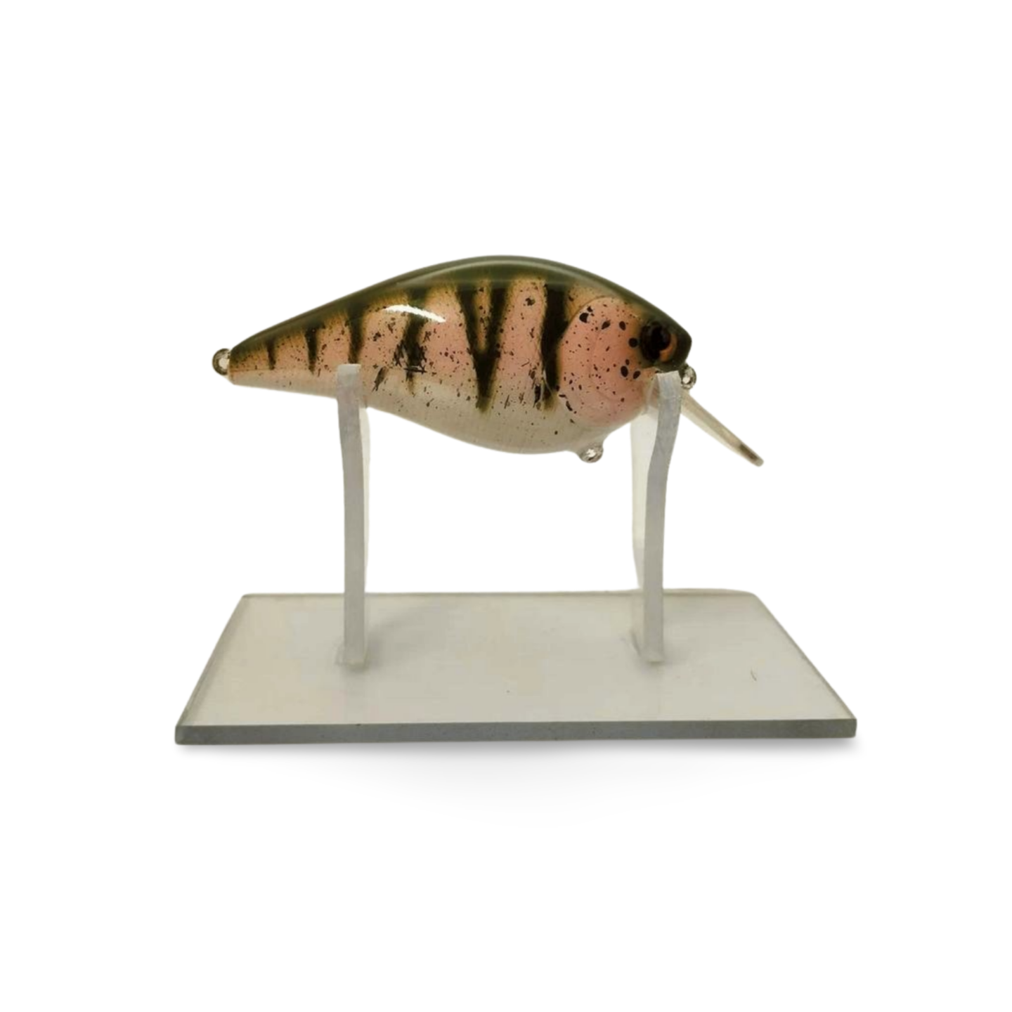 Lure Cave Customs b2 5
