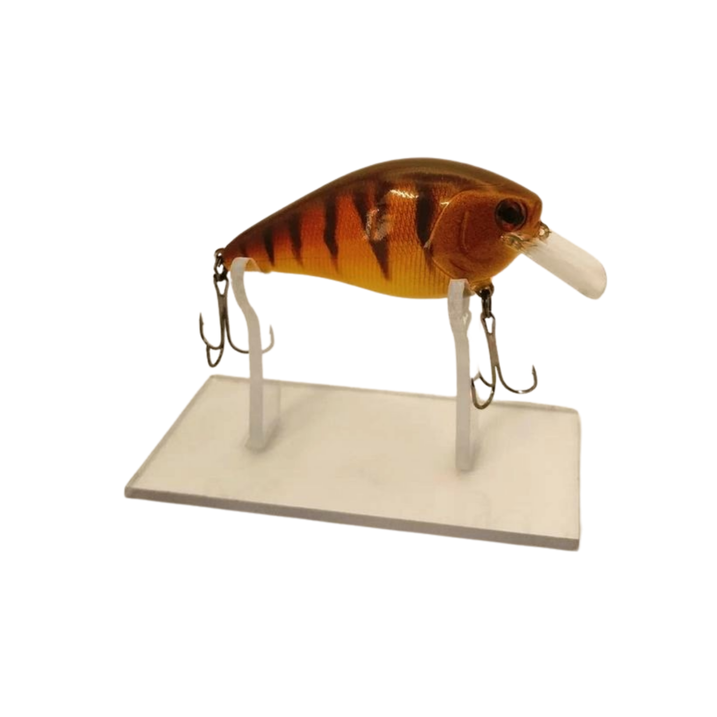Lure Cave Customs b2 6